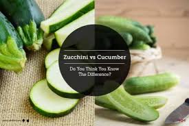 Zucchini slices get unexpectedly crisp when they are baked for a long time at low heat. Zucchini Vs Cucumber Do You Think You Know The Difference By Dr Atray Bhatt Lybrate