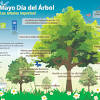 28 de junio, día mundial del árbol. 1