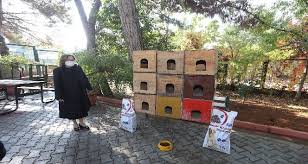 Buyuksehir Sokak Hayvanlarinin Tedavisi Icin Onemli Bir Calisma Baslatti Gaziantep