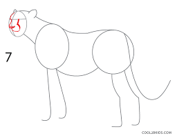 Easy cheetah drawings free image. How To Draw A Cheetah Step By Step Pictures
