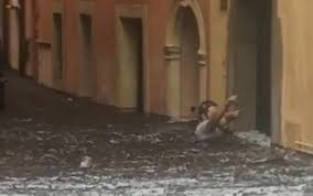 A verona ieri traffico limitato per caduta alberi. Maltempo In Veneto Nubifragio Su Verona Vicenza E Padova Video