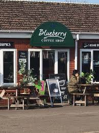 Available at 116 west barbee chapel rd chapel hill, nc 27517 us #120 this supermarket location : Blueberry Coffee Shop Enfield Updated 2021 Restaurant Reviews Photos Phone Number Tripadvisor