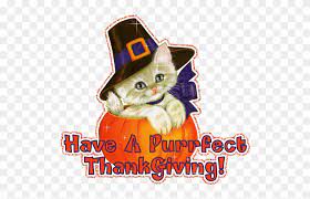 Check out this fantastic collection of thanksgiving cat wallpapers, with 29 thanksgiving cat background images for your desktop, phone or tablet. Have A Purrfect Thanksgiving Happy Thanksgiving With Cats Free Transparent Png Clipart Images Download
