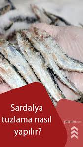 Sardalya Tuzlama Nasil Yapilir Canakkale Nin Meshur Sardalya Tuzlama Tarifi 2020 Gida Yemek Tarifler
