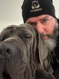 What CBD treats are safe for dogs without corn?