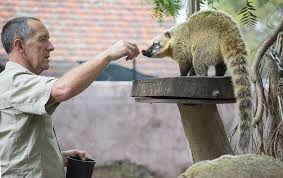 A Day At Melbourne Zoo Melbourne Zoo Zoo Visit Melbourne