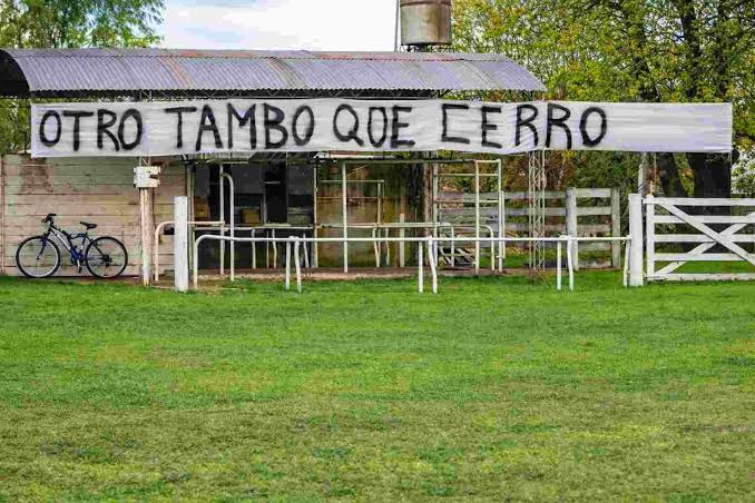 La lechería sigue cayendo: menos tambos y más concentración - Ruralnet