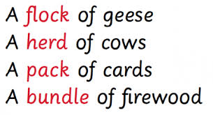 A noun names people, animals, places, things, events, qualities, and states. What Is A Collective Noun Theschoolrun