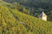 Expat Way Travel France Wine Tourism Bugey Aoc Little Known But Worth Discovering