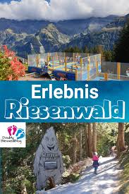 Eine Spannende Kinderwanderung Im Riesenwald Bei Elm Doublyblessedblog Urlaub Reisen Reisen Ausflug