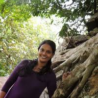 Image result for Memecylon rovumense