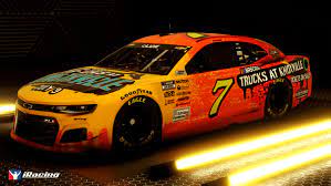 Type 1 diabetes is more of an autoimmune disease where the body immune system kills the cells which produce insulin and over a time period the insulin producing cells. Paint Scheme Preview Pro Invitational Series At Bristol Nascar