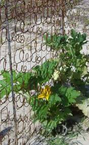We did not find results for: 5 Crafty Ways To Upcycle Your Old Mattress Budget Dumpster