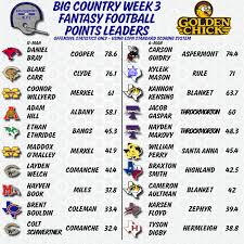Week 3 Fantasy Football Leaders — Big Country Blitz