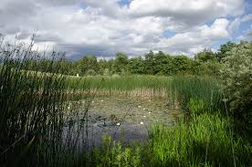 Hohenheimer Garten Wikipedia