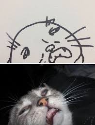 Poorly Drawn Cat Cat Drawing Funny Doodles Sleeping Drawing