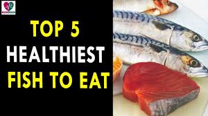 Because fish is so incredibly good for you, many people would like to eat more, especially if they live on the coast. Top 5 Healthiest Fish To Eat Health Sutra Best Health Tips Youtube