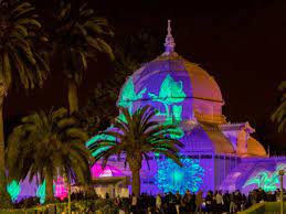 Conservatory aglow, presented by american electric power foundation with lighting partner ahlum & arbor tree preservation, is back to illuminate winter nights. Conservatory Of Flowers Annual Light Show Returns With Full Lineup