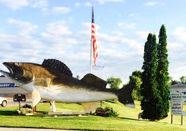 It is known as the walleye capital of the world. Philip Pritchard A Twitteren Ran Into Willie The Walleye On The Way To The Airport Baudette Mn Becauseitsthecup Stanleycup Hockeyhallfame Http T Co Ar9bfpmkwe