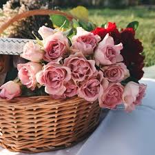 In whatsapp your dp is important to identify yourself to unknown person. Best Flowers In Basket Dp Status Mirchistatus