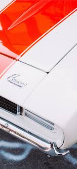 Nature cute baby animals images. Best Muscle Iphone X Hd Wallpapers Ilikewallpaper