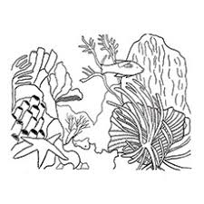 The various tones of the color coral are representations of the colors of those cnidarians known as precious corals. Top 10 Coral Coloring Pages For Toddler