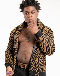 Net worth, life and career when was kodak black born? Kodak Black Bio Facts Wiki Net Worth Affair Girlfriend Dating Real Name Rapper Songs Albums Tour Lyrics Age Height Family Arrested Factmandu