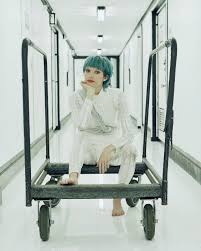 Joy Downer — Stunt Company Media Inc.