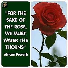 We Know That Almost Every Rose Has Thorns Life Is Like A Rose It Can Be Full Of Thorny Issues We Also Know That The African Proverb Proverbs Grateful Quotes