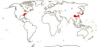 Image result for Balthasaria