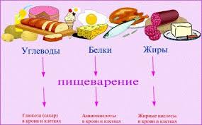 We did not find results for: Komponen Utama Makanan Komprehensif Mengenai Kesihatan Di Ilive