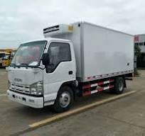 ISUZU elf freezer truck