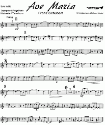 Your accompanist will kill me. Musicainfo Net Details Ave Maria 9070650