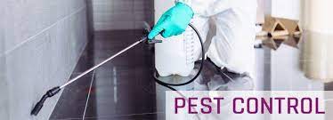 When you live a busy life, it is hard to find the time to organise and tidy your home or vacation rental. Pest Control Lowood 1800 033 756 Insect Rodent Control In Lowood
