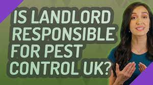 Responsibility for pests and pest. Is Landlord Responsible For Pest Control Uk Youtube