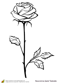 Page 159 Sur 188 Sur Hugolescargot Com Roses Drawing Flower Drawing Flower Sketches