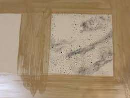 Mandi Quinn (@_mandiquinn_) • Instagram photos and videos