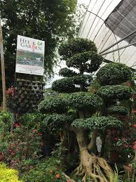 We did not find results for: Pomelizer Hee Garden Jalan Hospital Sungai Buloh Facebook