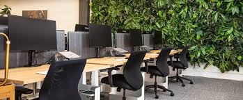 Best Ergonomic Office Chairs For Back Pain 2021