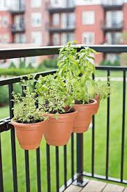 Pin On Urban Garden With Growermate
