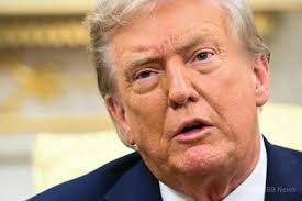 セイウチ上陸で飛行制限、暴走で幼獣大量死の恐れ 米アラスカ 写真3枚 国際ニュース：AFPBB News