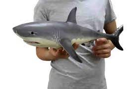 Review Beware Of Scam And Suspicious Sites Selling Smart Lifelike Baby Shark De Reviews