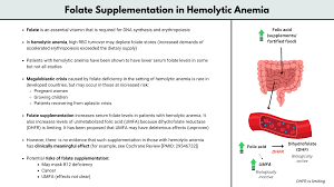 Image result for Serum Folate