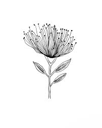 Check spelling or type a new query. Flower Line Art Pohutukawa Pen Art Drawings Ink Pen Drawings Flower Line Drawings