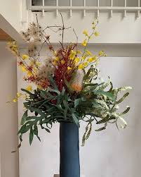 Castorfleuriste House Plants Flowers Plants
