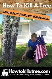 Pin On How To Kill A Tree