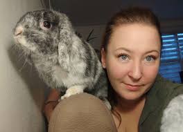 Abandons d'animaux : cette association se mobilise pour trouver des  familles d'accueil aux lapins