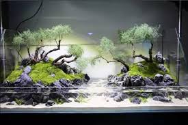 Google Image Result For Http Pmo05a3a8 Pic30 Websiteonline Cn Upload 11940008236e23ef7dad Jpg Aquascape Aquarium Lava Stone