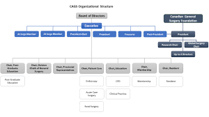 It is the responsibility of the board of directors to build a framework for corporate governance that syncs with the objectives and mission of the business. Cags Board Of Directors Org Chart Cags