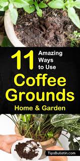 11 Ways To Use Coffee Grounds In The Garden Uses For Coffee Grounds Garden Fertilizer Growing Vegetables